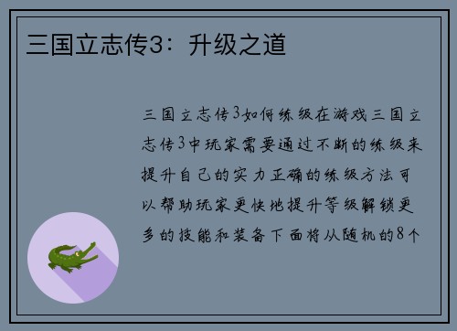 三国立志传3：升级之道