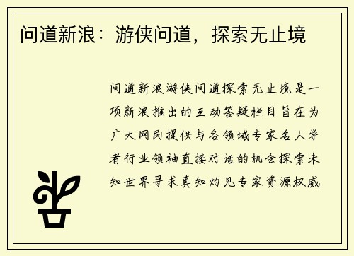 问道新浪：游侠问道，探索无止境